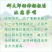 辉太郎甜柿裸根苗脆甜不涩柿子树苗正宗对接