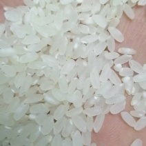黑龙江大米，产地直供大量有货质量保证一手货源全国发货
