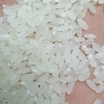黑龙江大米，产地直供大量有货质量保证一手货源全国发货