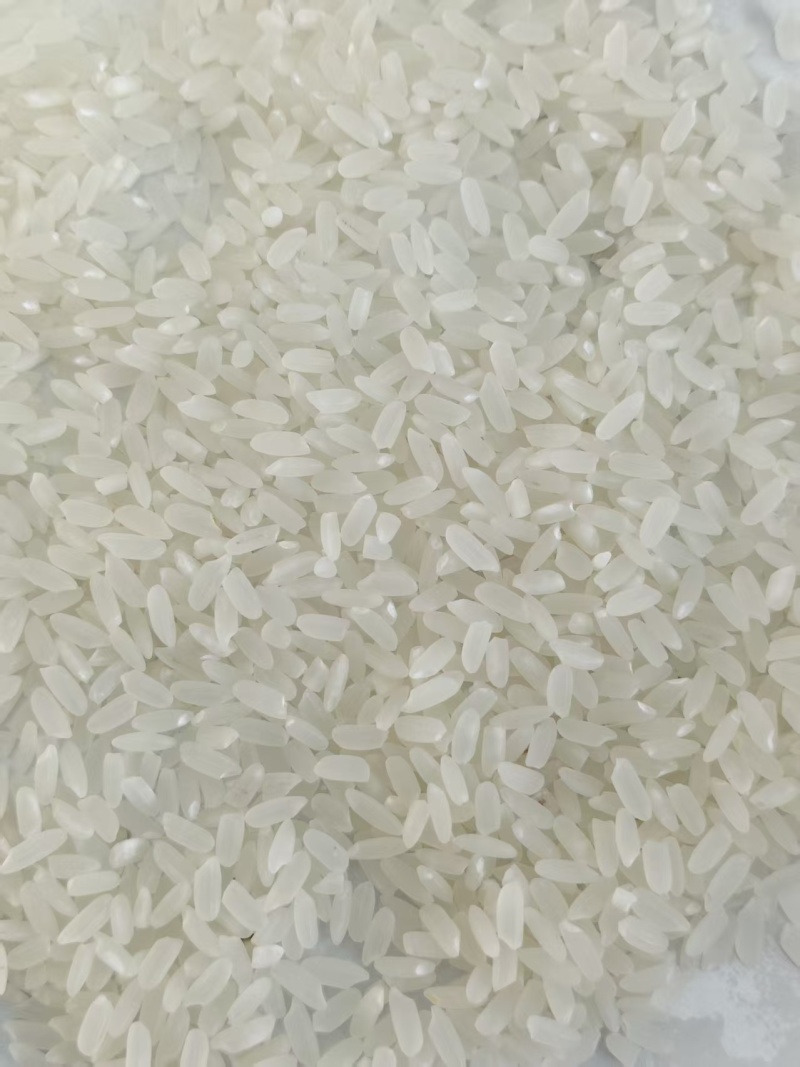 批发伊春市嘉荫边境大米，产地直供品种保证