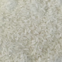 批发伊春市嘉荫边境大米，产地直供品种保证