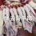 前，后，短牛蹄1件50斤炖汤烧适合所有人群1件起常年批发