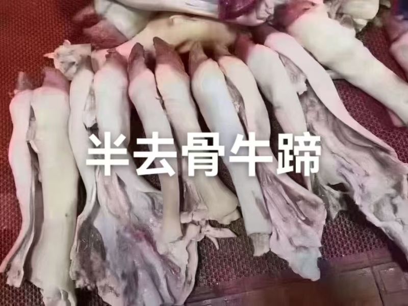 前，后，短牛蹄1件50斤炖汤烧适合所有人群1件起常年批发