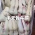 牛掌1件50斤火烧毛牛掌火烧牛掌称重计算常年批发