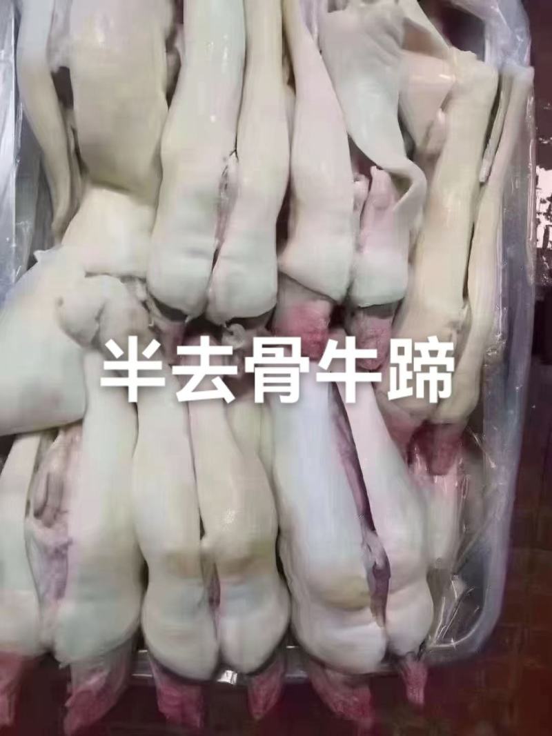 牛掌1件50斤火烧毛牛掌火烧牛掌称重计算常年批发