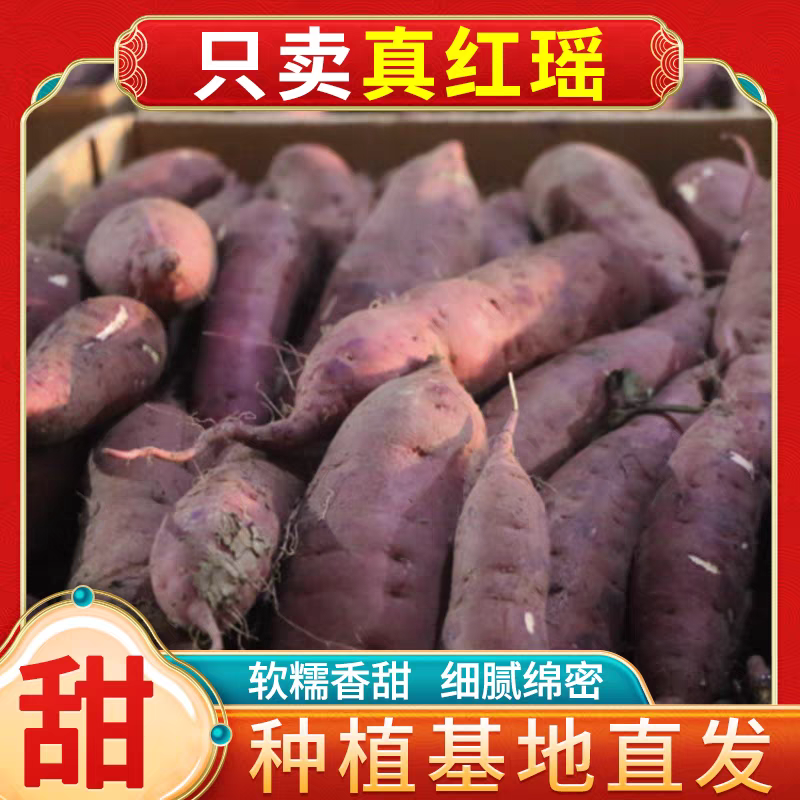 《一件代发》河北红瑶蜜薯，香甜可口对接各大市场超市电商