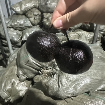 冻梨通货2两左右，汁水丰富，酸甜可口！大概1万多斤