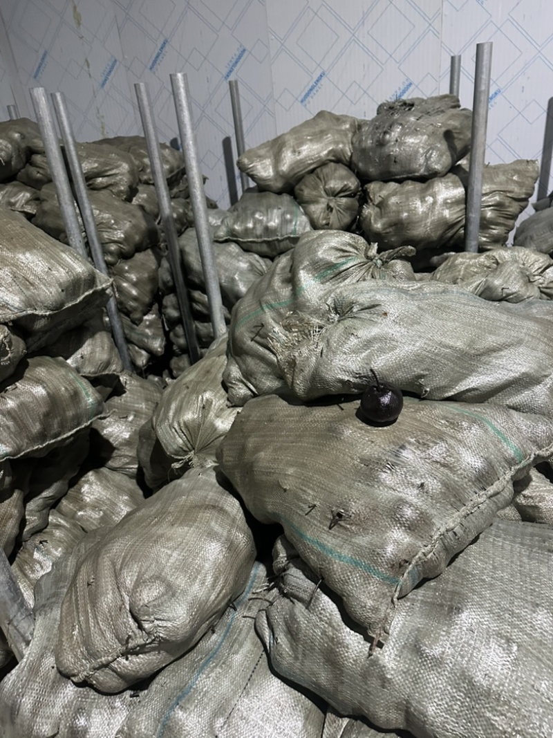 冻梨通货2两左右，汁水丰富，酸甜可口！大概1万多斤