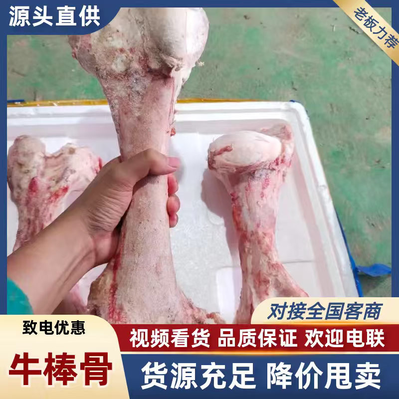 牛棒骨纯圆牛蒡骨饭店专用满骨髓可批发可零售，欢迎咨询