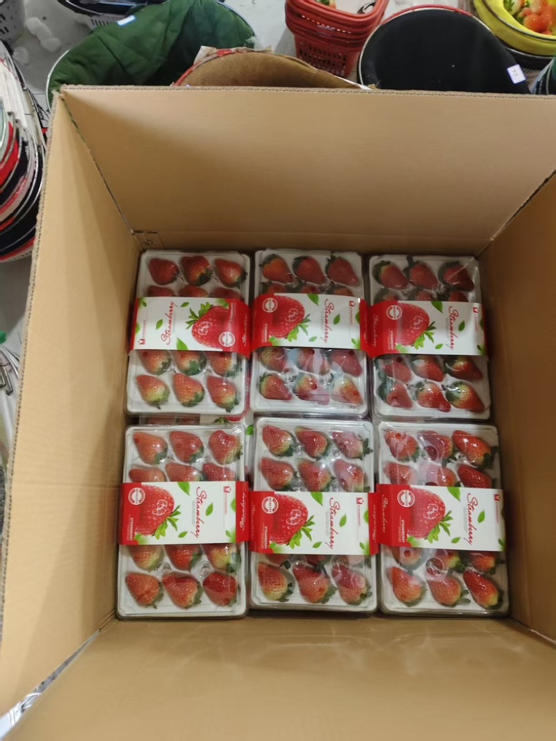 精品天仙醉奶油草莓一手货源全国发货量大价优欢迎随时联系