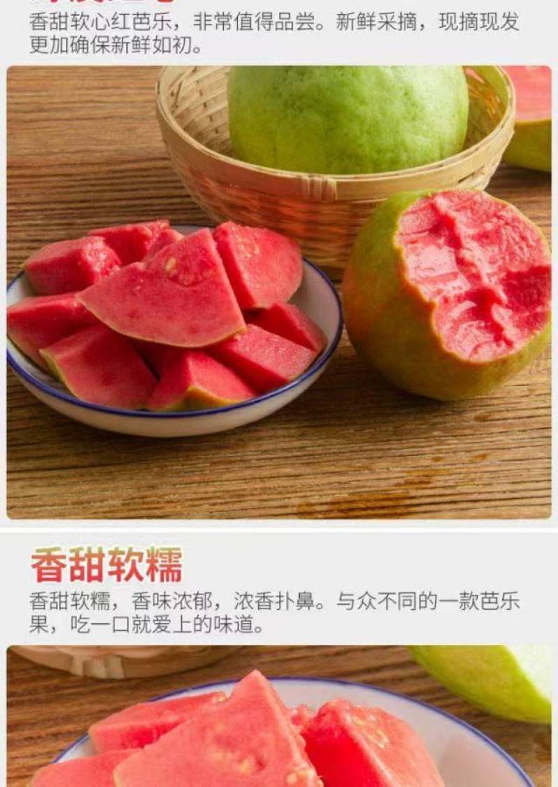 精品红心软芭乐