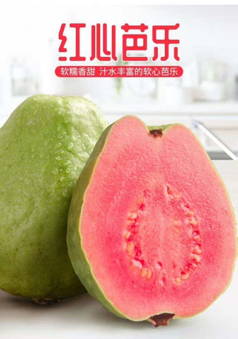 精品红心软芭乐