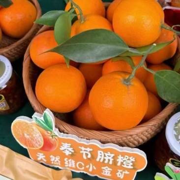 重庆奉节脐橙/挂树鲜果产地直发/量大从优/对接全国
