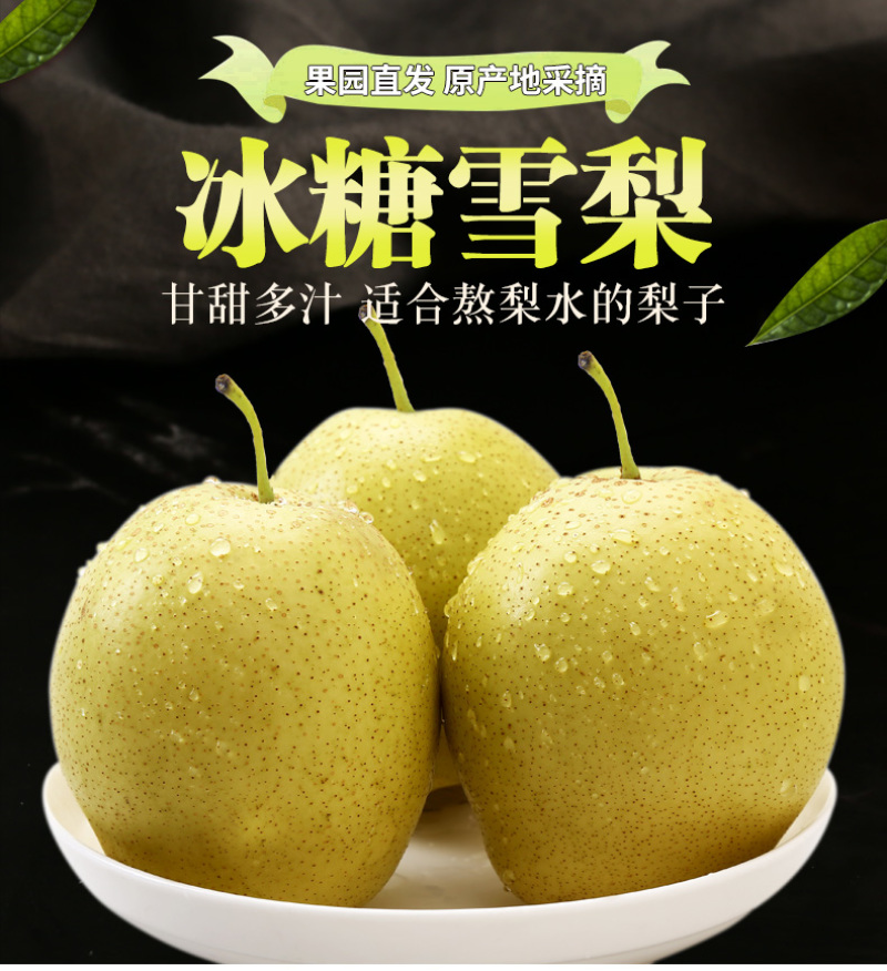 赵县特产雪花梨，皮薄肉细，清甜多汁。产地现摘现发新鲜直达