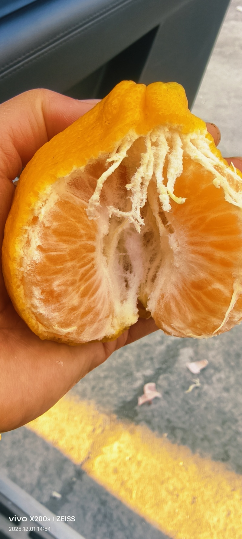 芦柑大量有货一手货源充足量大从优价格，价格便宜的很