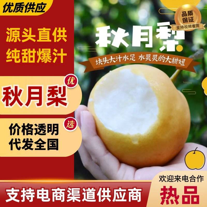 【细腻无渣】秋月梨现摘现发清甜爆汁核小肉厚量大价优