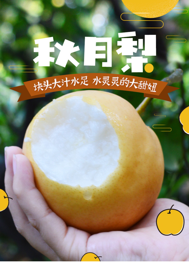 【细腻无渣】秋月梨现摘现发清甜爆汁核小肉厚量大价优
