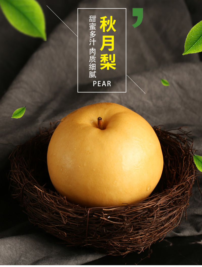 【细腻无渣】秋月梨现摘现发清甜爆汁核小肉厚量大价优
