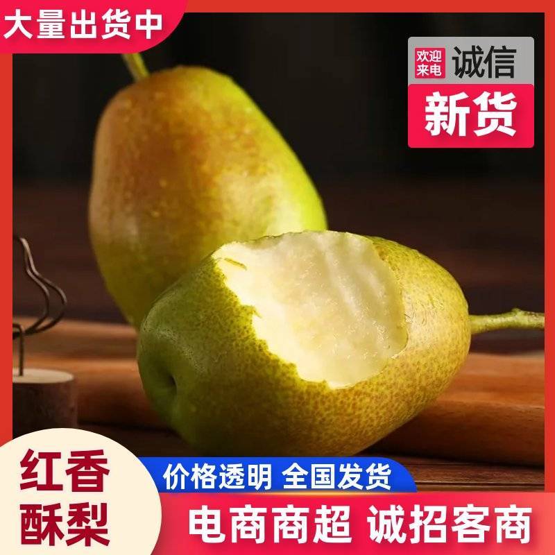 【红皮酥脆】红香酥梨现摘批发果肉细腻耐储运产地直发