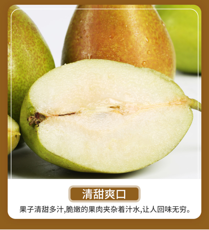 【红皮酥脆】红香酥梨现摘批发果肉细腻耐储运产地直发