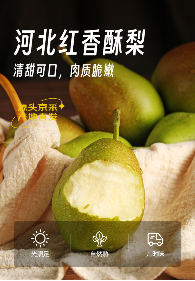【红皮酥脆】红香酥梨现摘批发果肉细腻耐储运产地直发