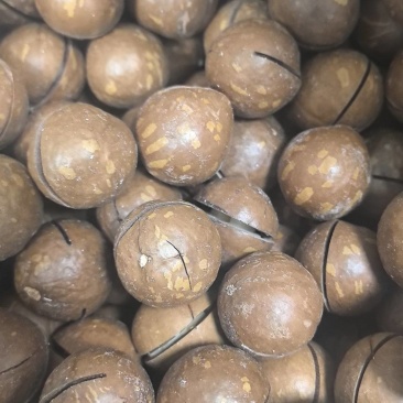 夏威夷果坚果，澳洲坚果。