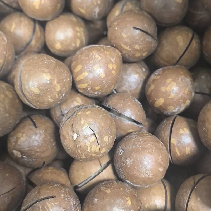 夏威夷果坚果，澳洲坚果。