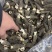 羊肚菌大量有货品质优可对接市场商超可视频看货热卖中