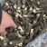 羊肚菌大量有货品质优可对接市场商超可视频看货热卖中