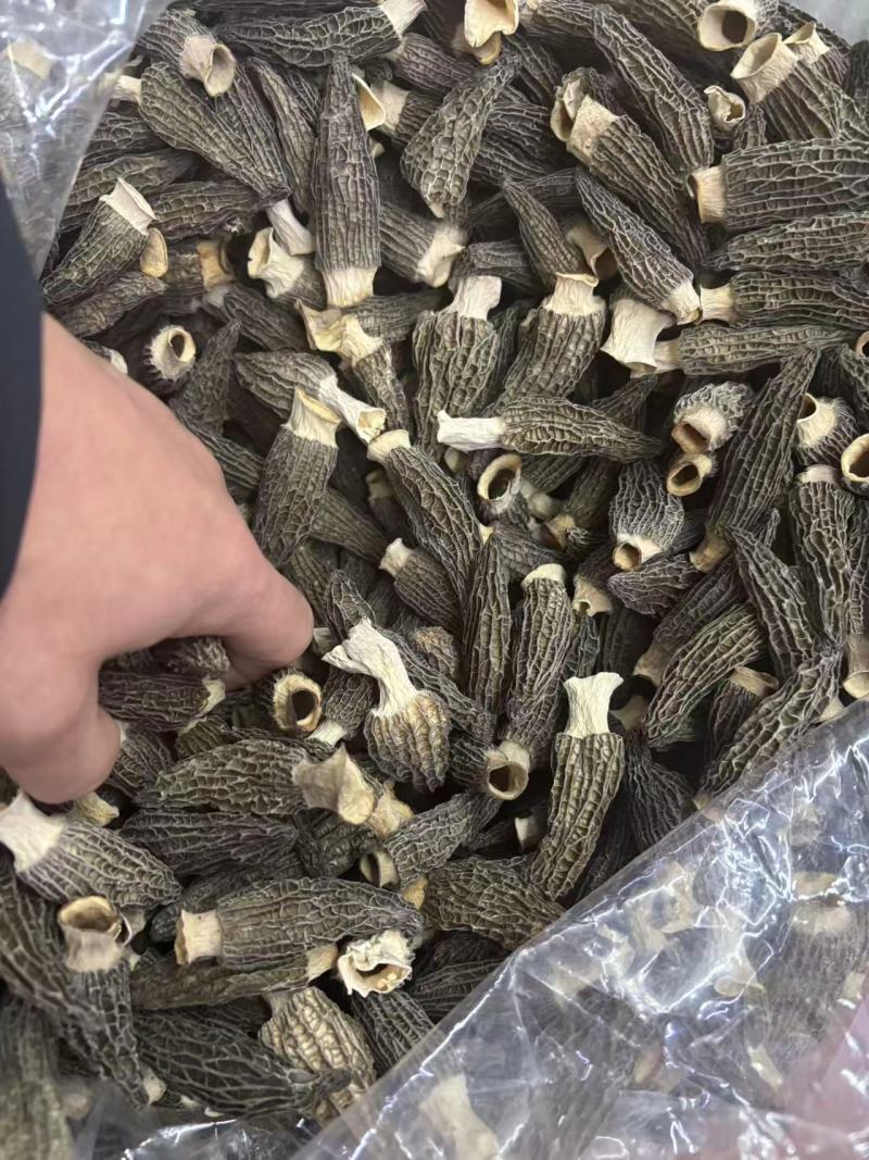 羊肚菌大量有货品质优可对接市场商超可视频看货热卖中