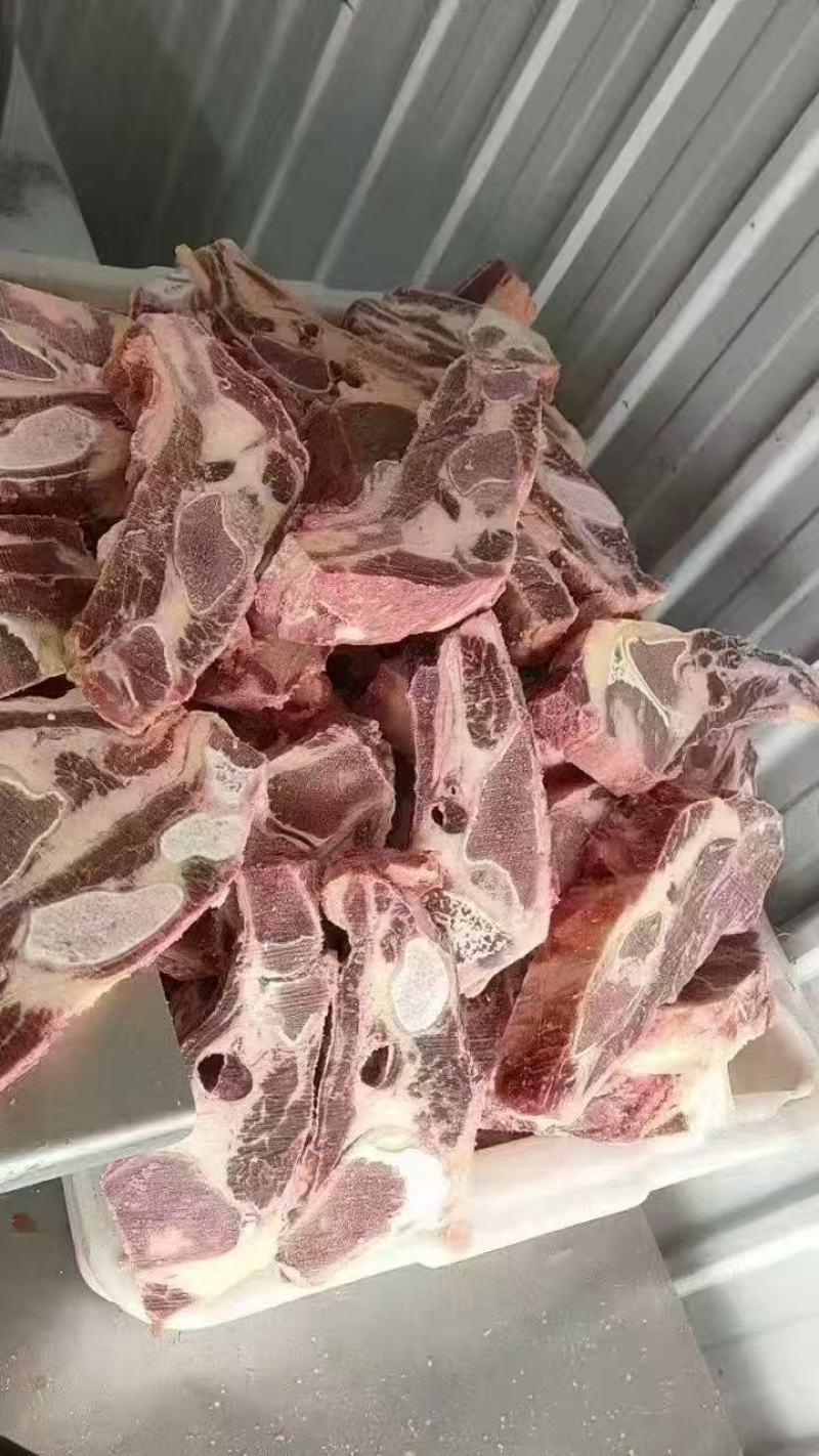 牛胸骨