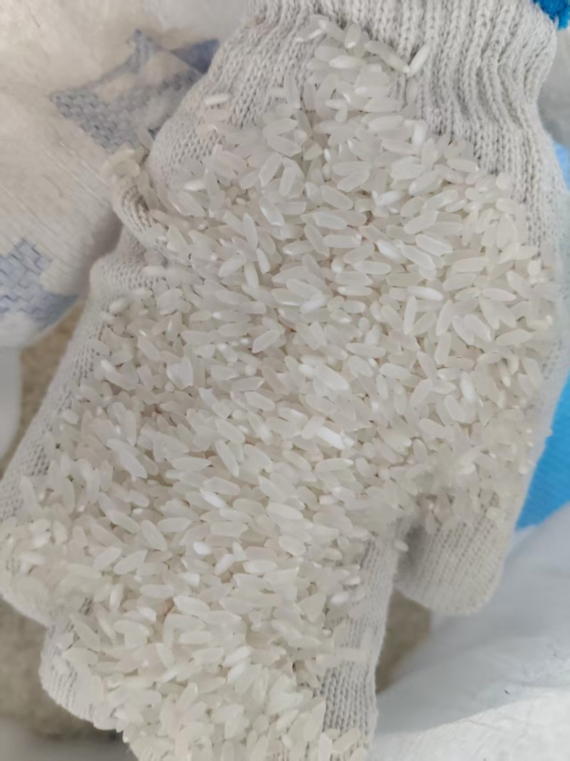 黑龙江长粒香大米大量接单品质保证支持定制欢迎来电