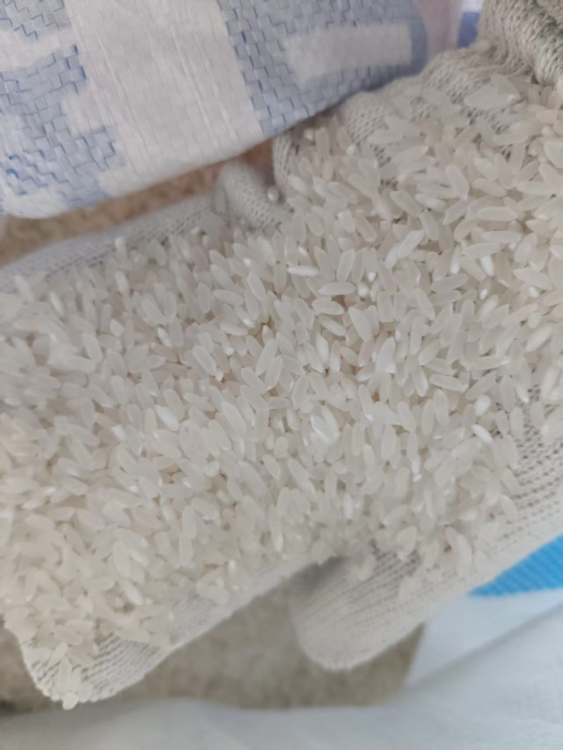 黑龙江长粒香大米大量接单品质保证支持定制欢迎来电
