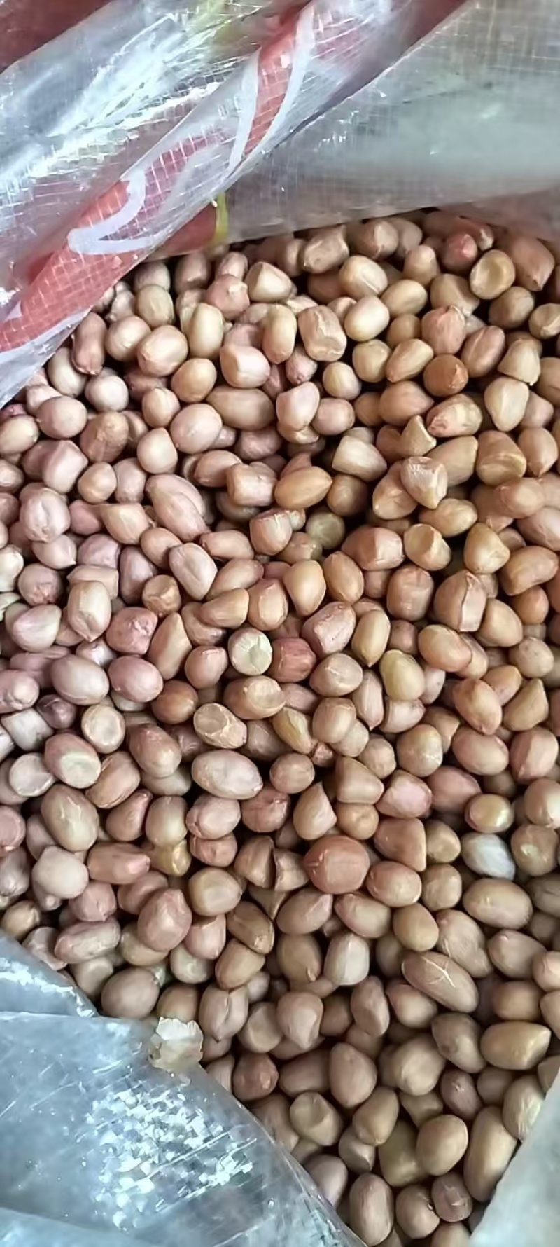 花生油工厂直发对接各大商超量大从优品质优良