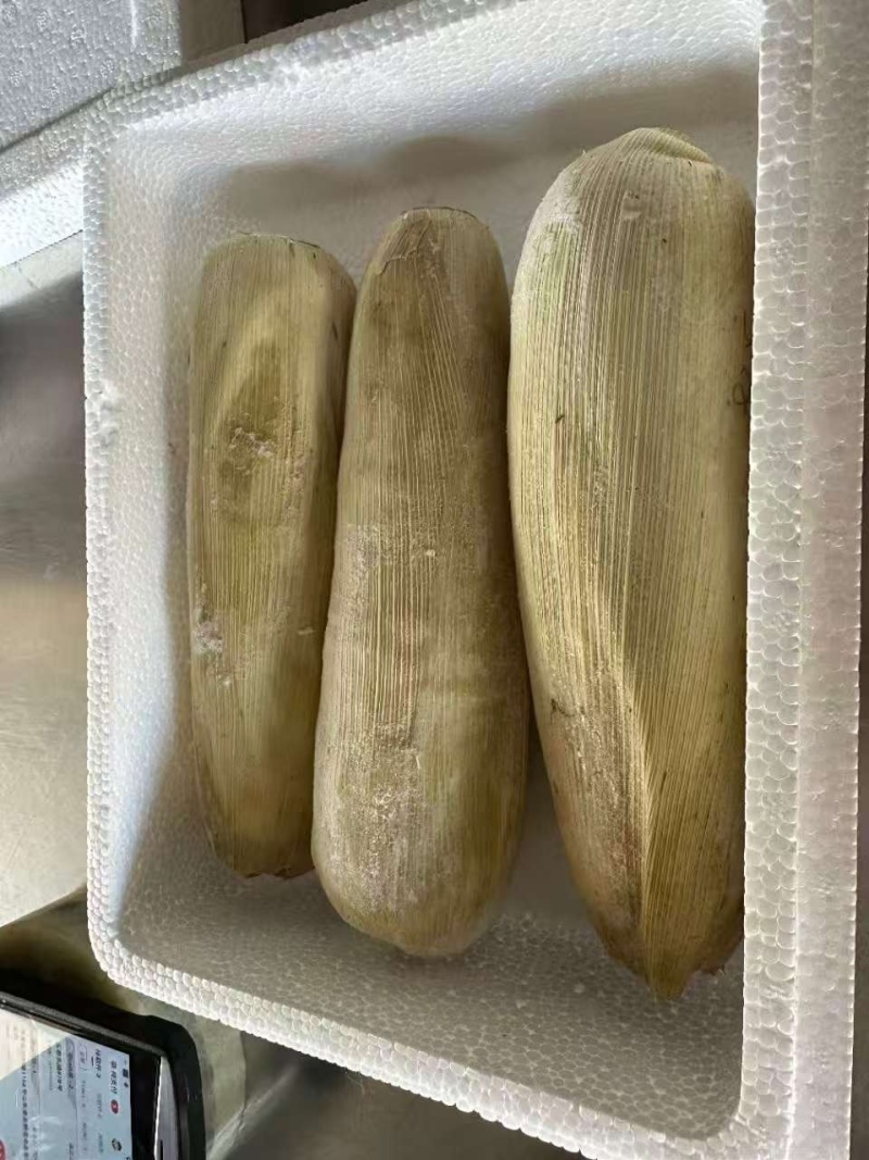 五彩糯玉米玉米品质好价格优诚信经营欢迎来电洽谈