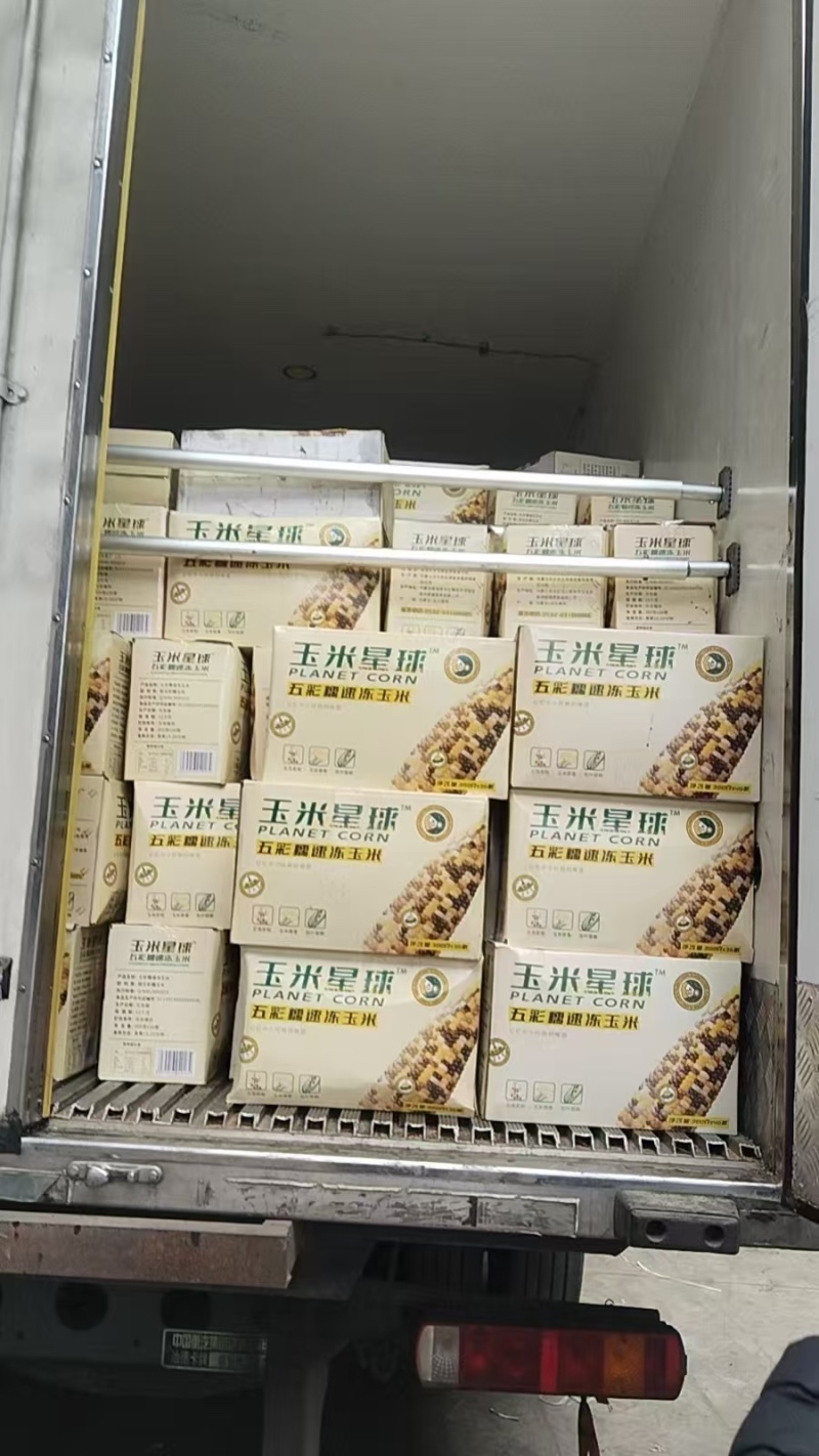 五彩糯玉米玉米品质好价格优诚信经营欢迎来电洽谈
