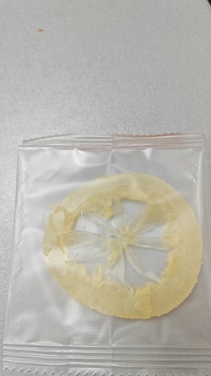 【重庆柠檬片】柠檬干片/去籽柠檬干片/电商团购一件批发便