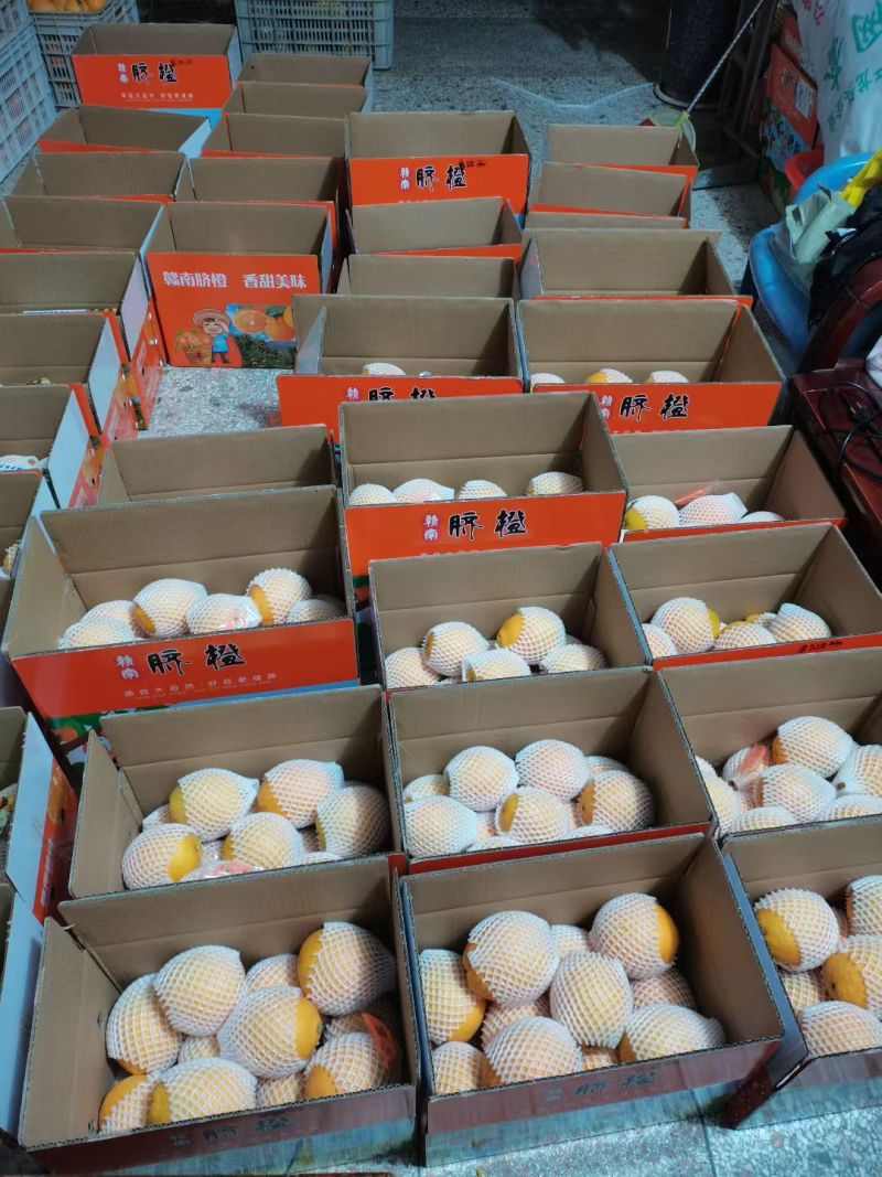 赣南脐橙
