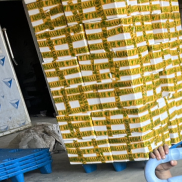 广东发往各地甜菜心