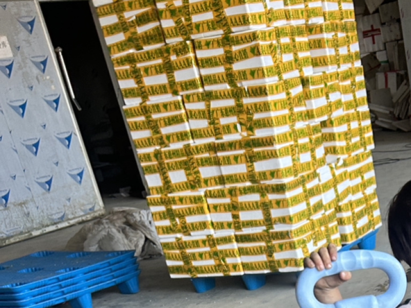 广东发往各地甜菜心