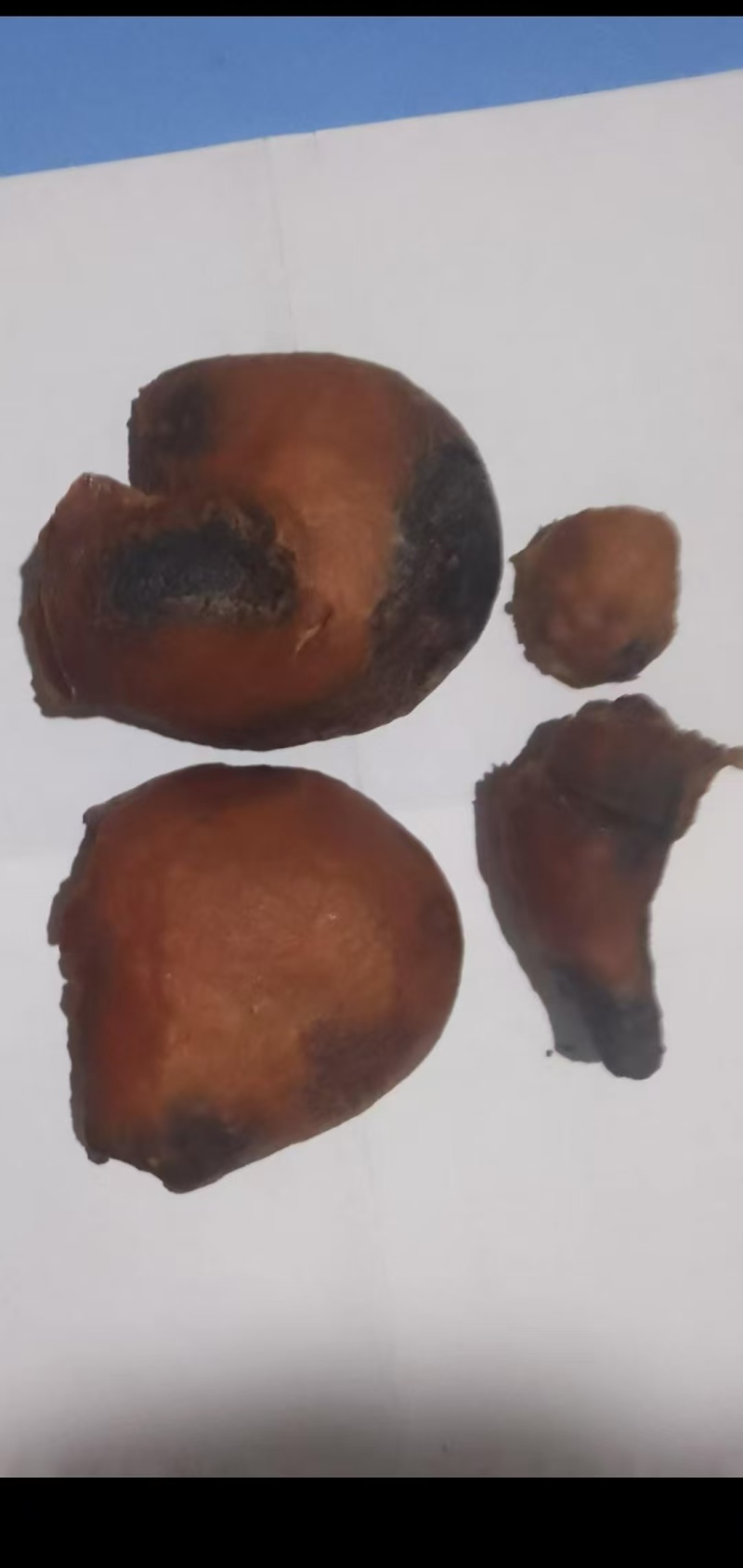 我有一个鸡宝要出售，20O克左右，精品，风干了