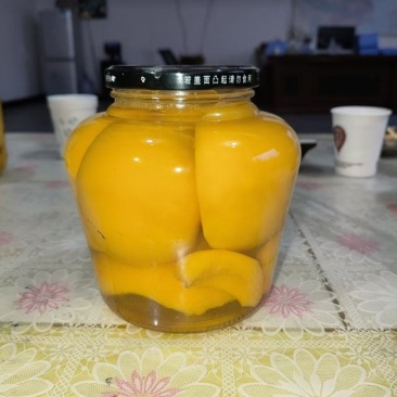 1250克精品黄桃，