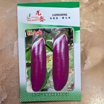 龙盛红金龙茄种子杂交品种果型整齐结果多抗病高产春秋播种