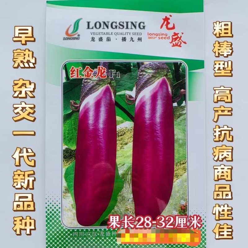 龙盛红金龙茄种子杂交品种果型整齐结果多抗病高产春秋播种
