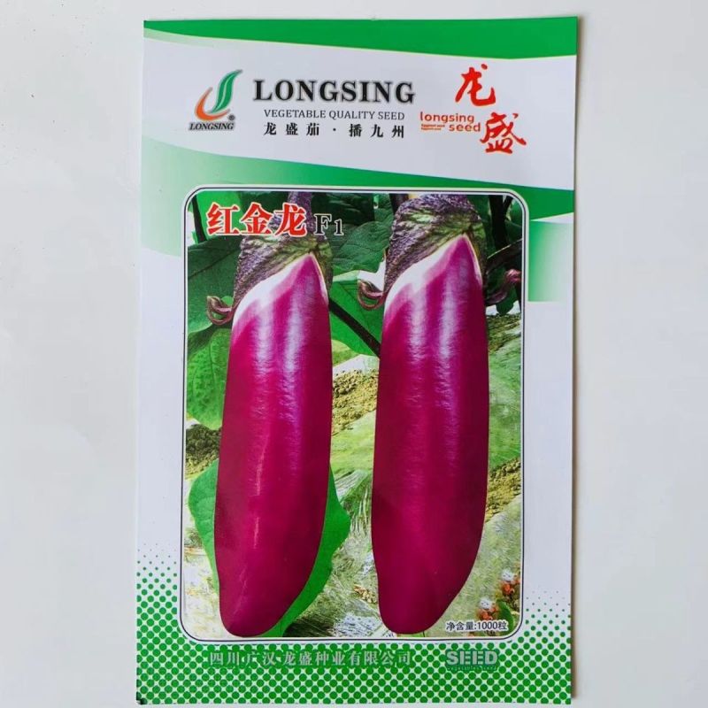 龙盛红金龙茄种子杂交品种果型整齐结果多抗病高产春秋播种