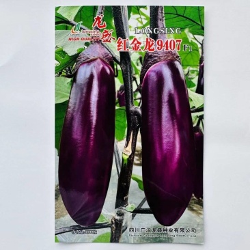 红金龙9407红茄种子肉厚细嫩甜糯果型整齐高产红茄种子