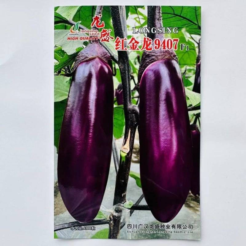 红金龙9407红茄种子肉厚细嫩甜糯果型整齐高产红茄种子