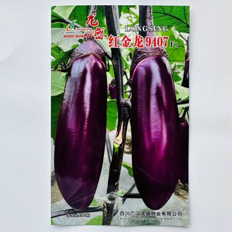 红金龙9407红茄种子肉厚细嫩甜糯果型整齐高产红茄种子