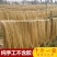 十斤大包商用纯正红薯粉条麻辣烫酸辣粉火锅商用粉丝地瓜批发