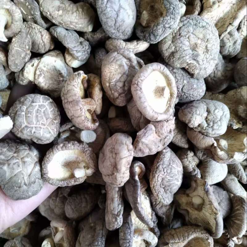 干香菇新鲜香菇烘干而成品质优良产地直供一手货源